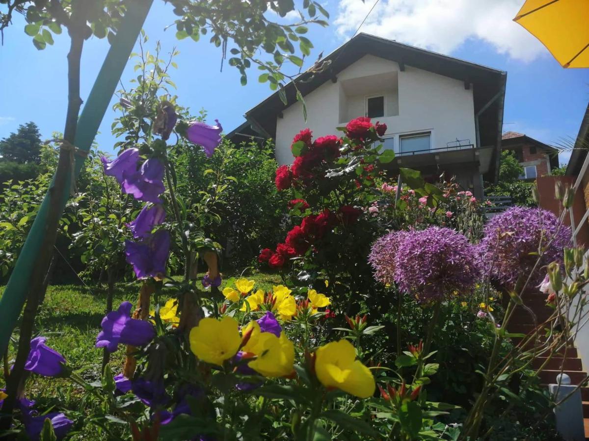 Smjestaj Bahat Varazdinske Toplice Buitenkant foto